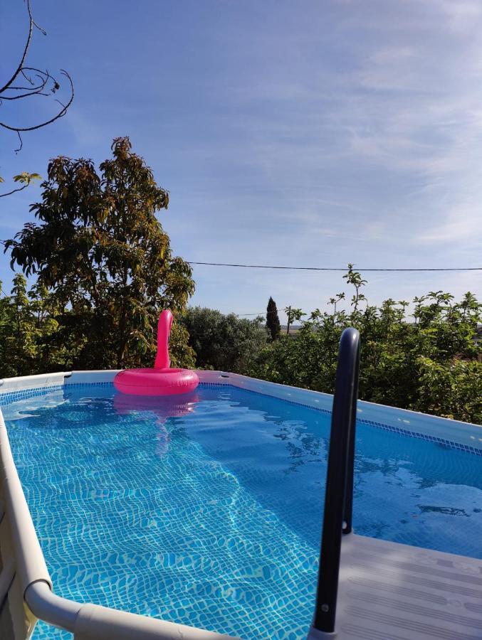 Casa Amarela-Tiny House With Fantastic View-Pool And Close To The Beaches Silves Exteriér fotografie